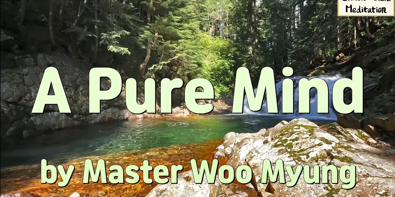 💎 A PURE MIND | MASTER WOO MYUNG | SANTA CLARA MEDITATION