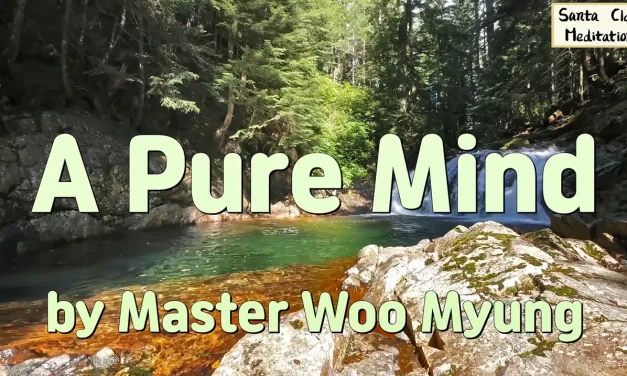💎 A PURE MIND | MASTER WOO MYUNG | SANTA CLARA MEDITATION