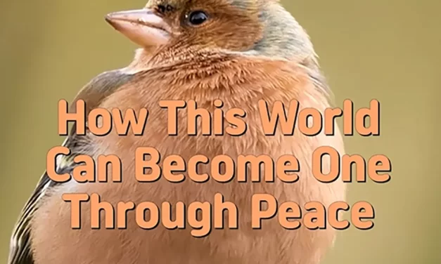 🌍 How This World Can Become One Through Peace and Truth | Master Woo Myung | Santa Clara Meditation