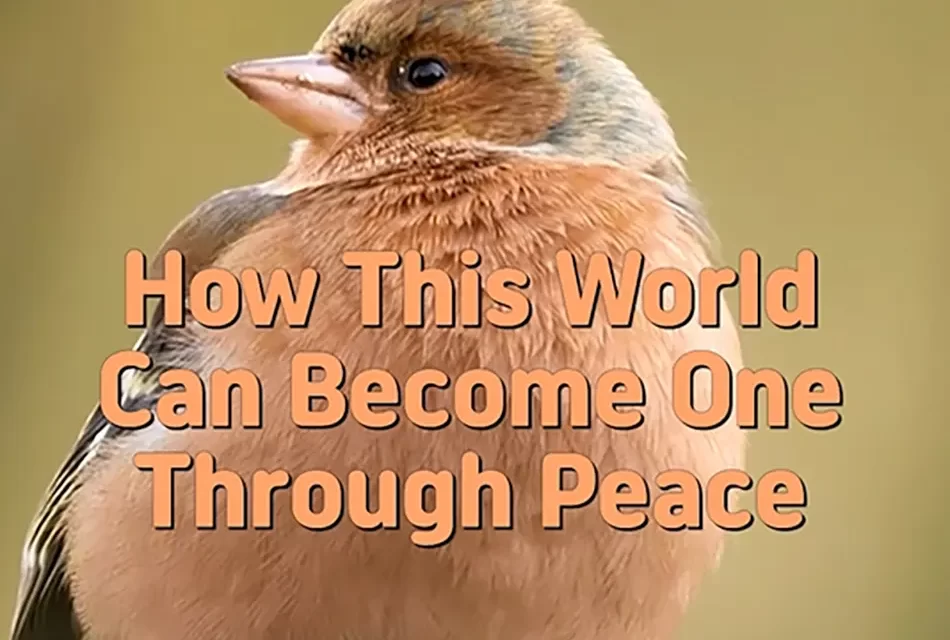 🌍 How This World Can Become One Through Peace and Truth | Master Woo Myung | Santa Clara Meditation