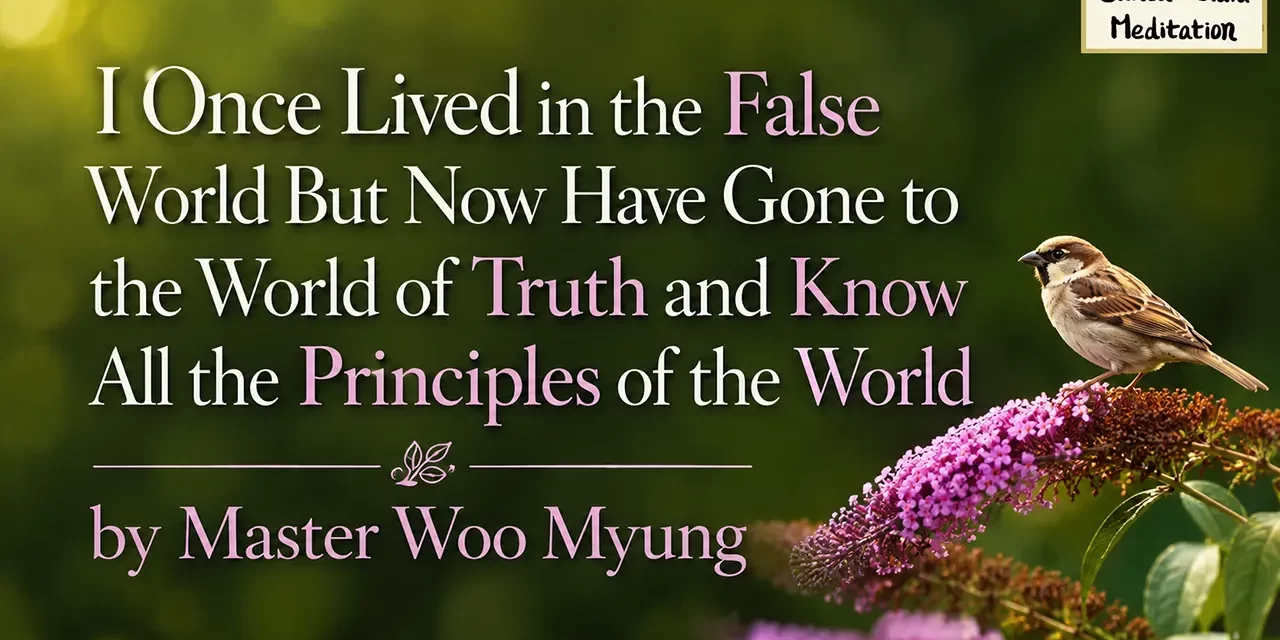 🤖 I ONCE LIVED IN THE FALSE WORLD BUT NOW HAVE GONE TO THE WORLD OF TRUTH AND KNOW ALL THE PRINCIPLES OF THE WORLD | MASTER WOO MYUNG | SANTA CLARA MEDITATION