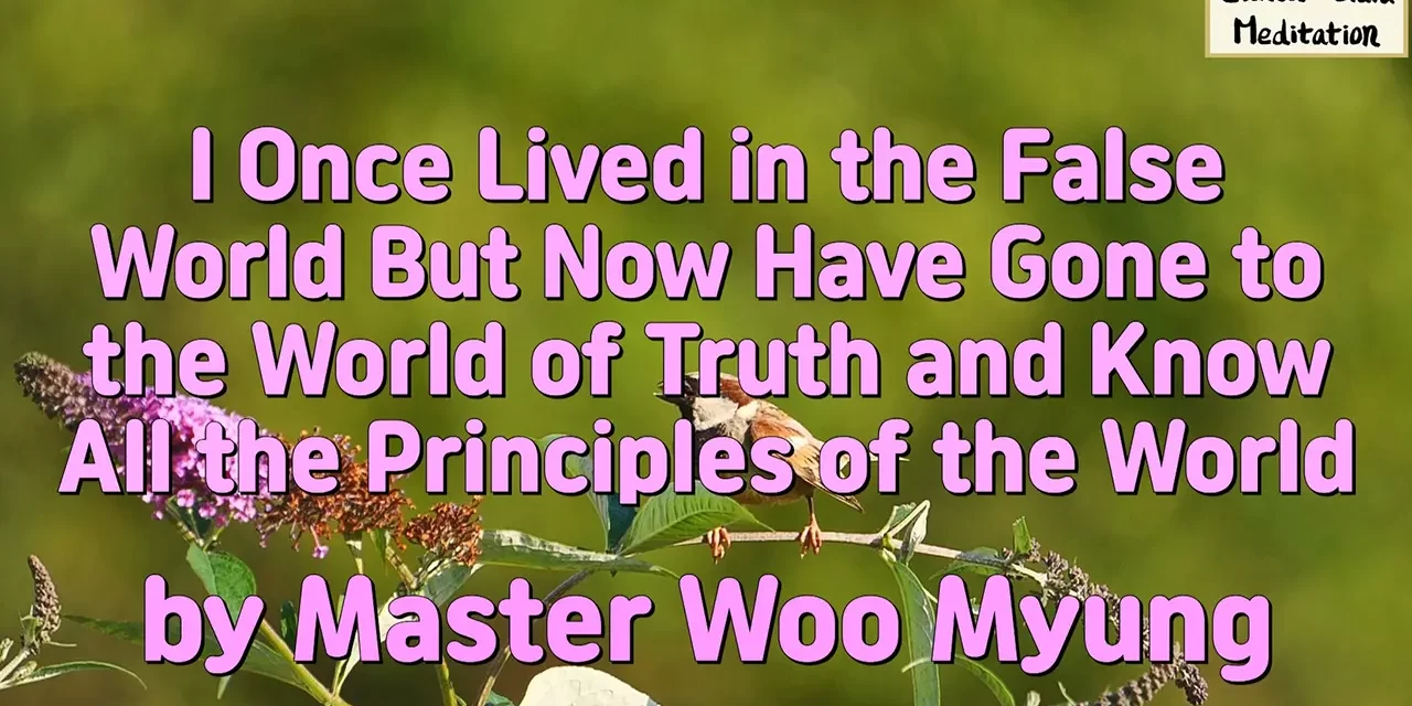 🤖 I ONCE LIVED IN THE FALSE WORLD BUT NOW HAVE GONE TO THE WORLD OF TRUTH AND KNOW ALL THE PRINCIPLES OF THE WORLD | MASTER WOO MYUNG | SANTA CLARA MEDITATION