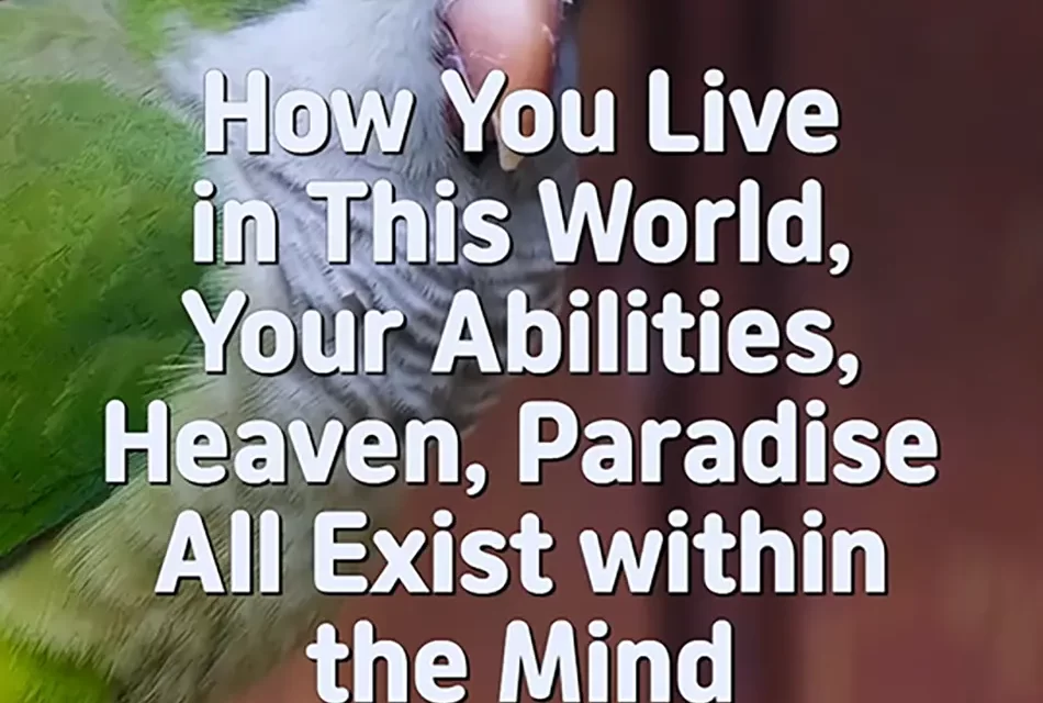 🌟 Heaven, Paradise, and Abilities Exist Only within the Mind | Master Woo Myung | Santa Clara Meditation