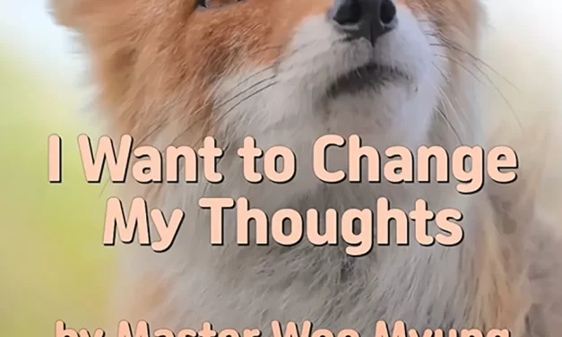 💭 I WANT TO CHANGE MY THOUGHTS: ELIMINATING THE ROOT OF THE MIND | MASTER WOO MYUNG | SANTA CLARA MEDITATION
