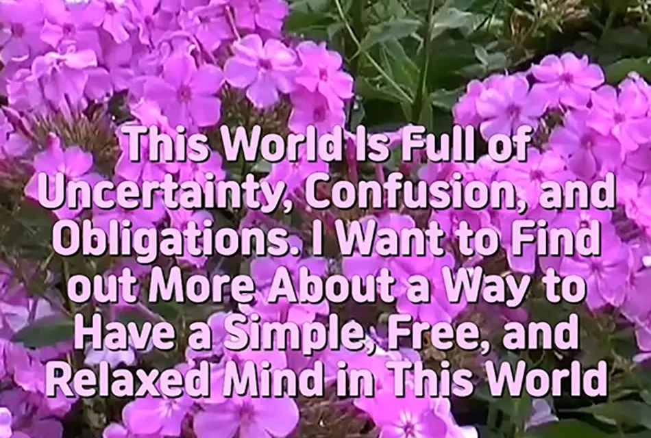 🌿 A SIMPLE, FREE, AND RELAXED MIND IN A WORLD OF UNCERTAINTY | MASTER WOO MYUNG | SANTA CLARA MEDITATION