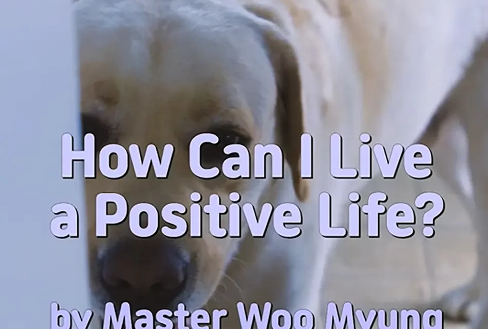 🌞 HOW CAN I LIVE A POSITIVE LIFE? | MASTER WOO MYUNG | SANTA CLARA MEDITATION