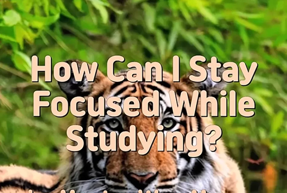 📚 HOW CAN I STAY FOCUSED WHILE STUDYING? | MASTER WOO MYUNG | SANTA CLARA MEDITATION
