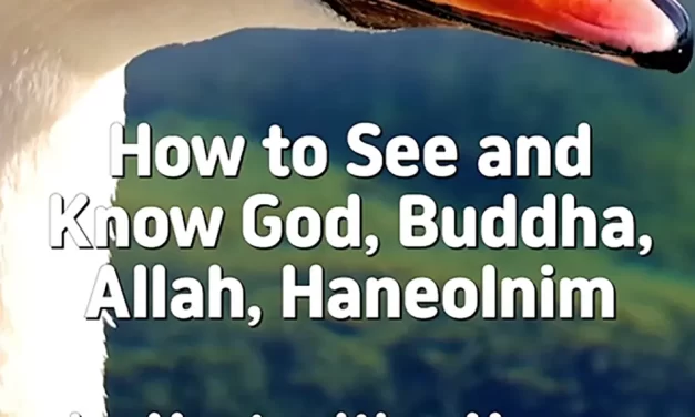 ✨ HOW TO SEE AND KNOW GOD, BUDDHA, ALLAH, HANEOLNIM | MASTER WOO MYUNG | SANTA CLARA MEDITATION