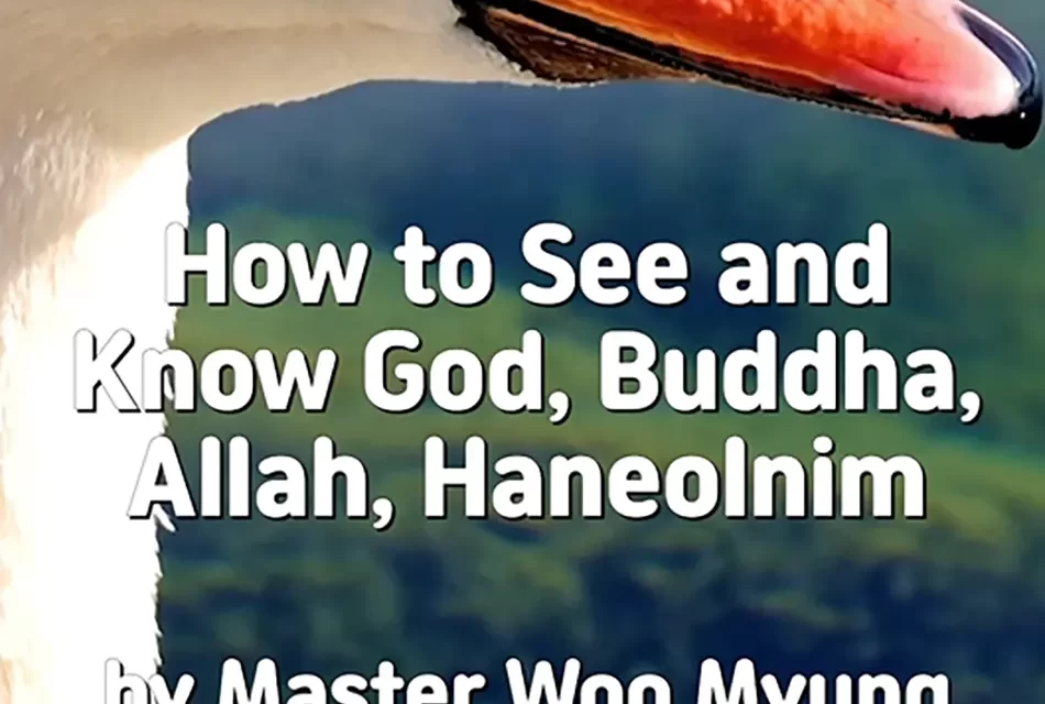 ✨ HOW TO SEE AND KNOW GOD, BUDDHA, ALLAH, HANEOLNIM | MASTER WOO MYUNG | SANTA CLARA MEDITATION