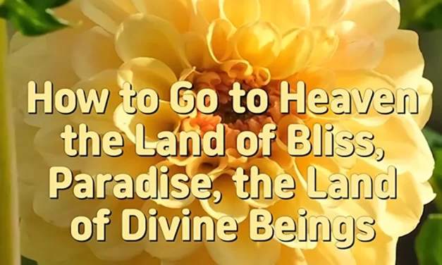 🌈 HOW TO GO TO HEAVEN, THE LAND OF BLISS, PARADISE, THE LAND OF DIVINE BEINGS | MASTER WOO MYUNG | SANTA CLARA MEDITATION
