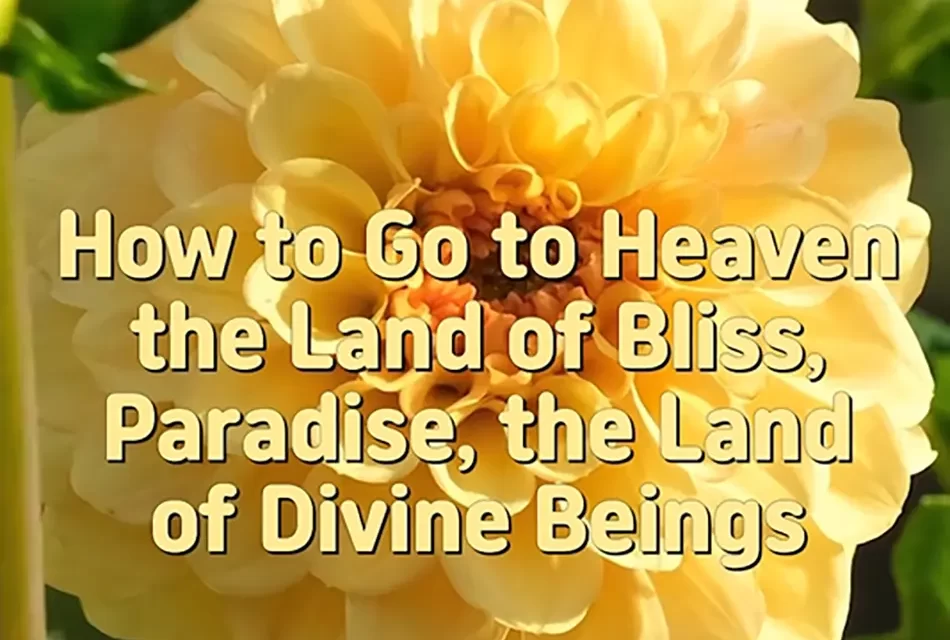 🌈 HOW TO GO TO HEAVEN, THE LAND OF BLISS, PARADISE, THE LAND OF DIVINE BEINGS | MASTER WOO MYUNG | SANTA CLARA MEDITATION