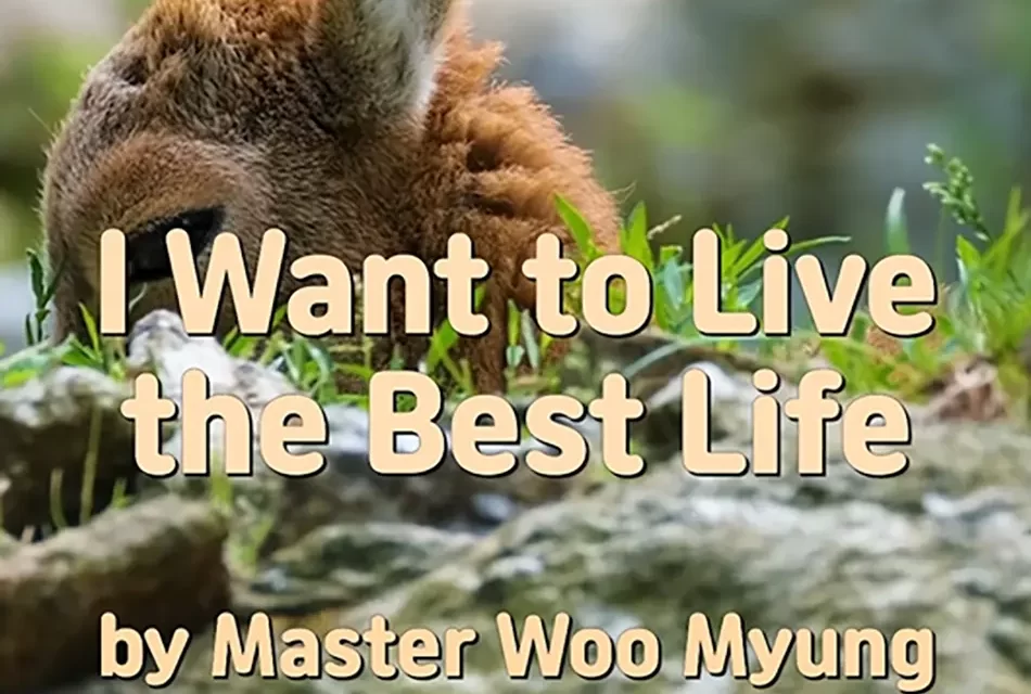 🌟 I WANT TO LIVE THE BEST LIFE | MASTER WOO MYUNG | SANTA CLARA MEDITATION