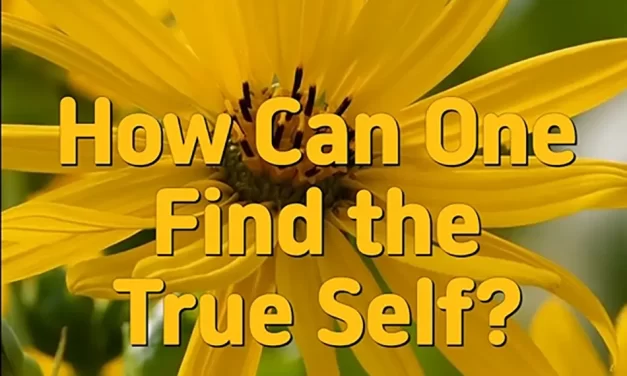 🌌 HOW CAN ONE FIND THE TRUE SELF? | MASTER WOO MYUNG | SANTA CLARA MEDITATION