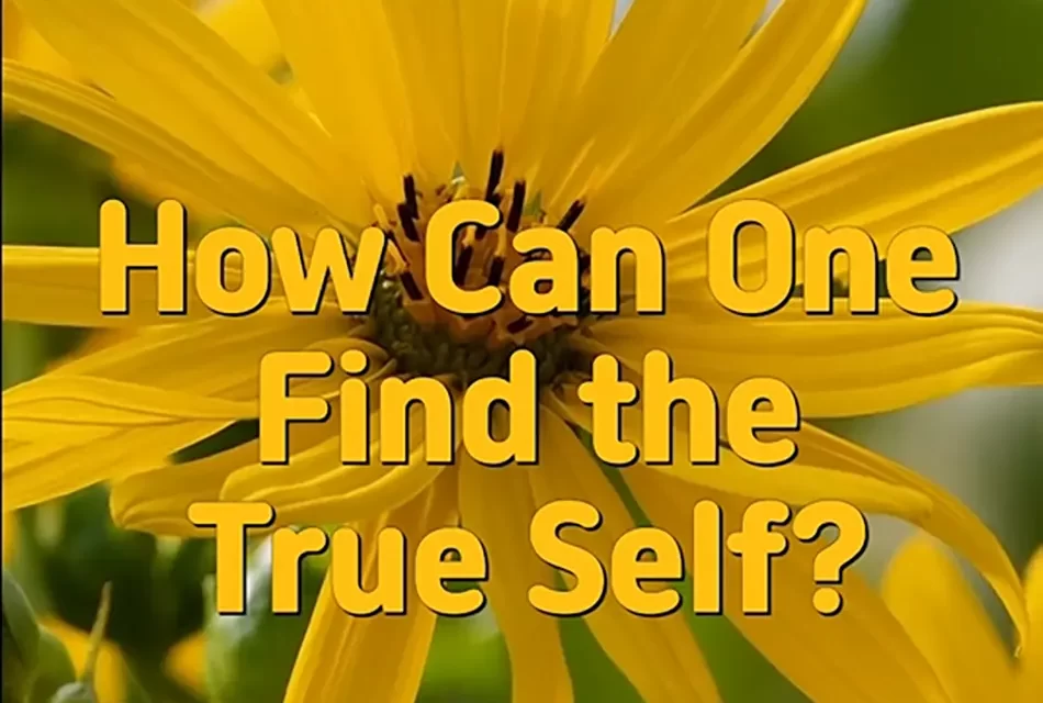 🌌 HOW CAN ONE FIND THE TRUE SELF? | MASTER WOO MYUNG | SANTA CLARA MEDITATION