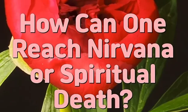 🕊️ HOW CAN ONE REACH NIRVANA OR SPIRITUAL DEATH? | MASTER WOO MYUNG | SANTA CLARA MEDITATION
