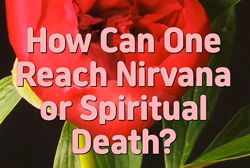 🕊️ HOW CAN ONE REACH NIRVANA OR SPIRITUAL DEATH? | MASTER WOO MYUNG | SANTA CLARA MEDITATION
