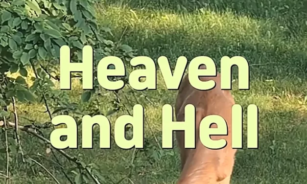 ☁️ HEAVEN AND HELL: TRUTH VS. DELUSION | MASTER WOO MYUNG | SANTA CLARA MEDITATION