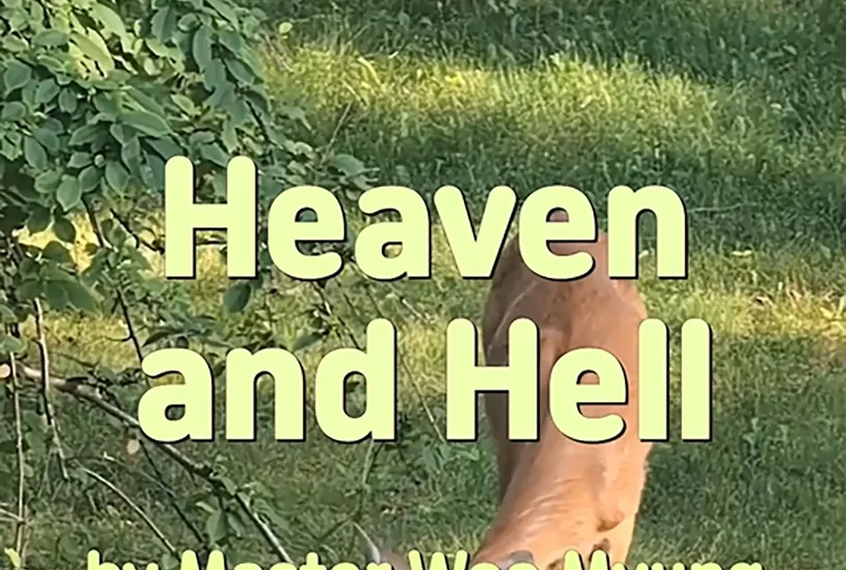 ☁️ HEAVEN AND HELL: TRUTH VS. DELUSION | MASTER WOO MYUNG | SANTA CLARA MEDITATION