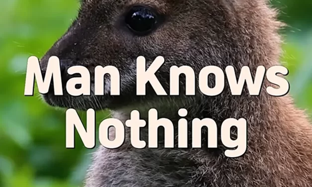 🕊️ MAN KNOWS NOTHING: FROM DELUSION TO THE ONE MIND OF TRUTH | MASTER WOO MYUNG | SANTA CLARA MEDITATION