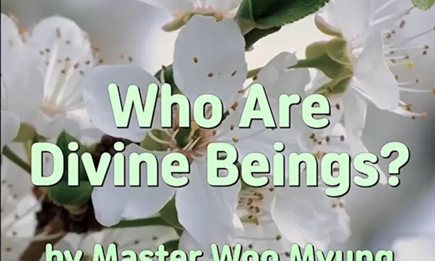 ✨ WHO ARE DIVINE BEINGS? | MASTER WOO MYUNG | SANTA CLARA MEDITATION