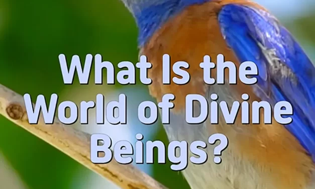 🌌 WHAT IS THE WORLD OF DIVINE BEINGS? | MASTER WOO MYUNG | SANTA CLARA MEDITATION