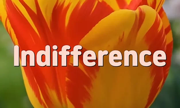 🌿 INDIFFERENCE: TRUE DETACHMENT IS LIVING IN TRUTH | MASTER WOO MYUNG | SANTA CLARA MEDITATION