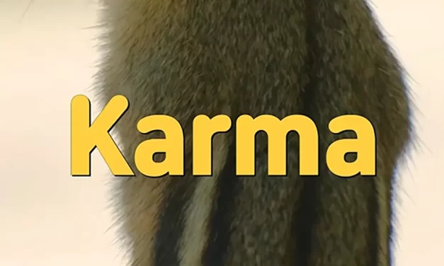 🔗 KARMA: THE CHAINS OF THOUGHT AND DESTINY | MASTER WOO MYUNG | SANTA CLARA MEDITATION