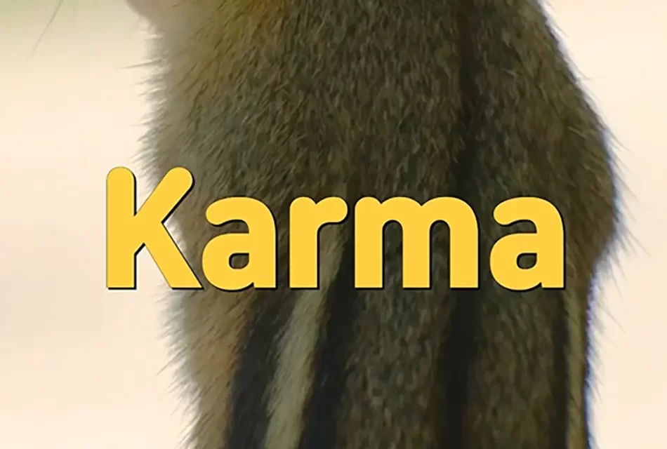 🔗 KARMA: THE CHAINS OF THOUGHT AND DESTINY | MASTER WOO MYUNG | SANTA CLARA MEDITATION