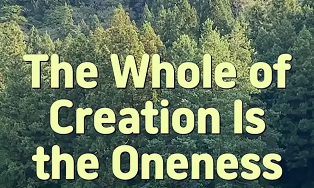 🌍 THE WHOLE OF CREATION IS THE ONENESS | MASTER WOO MYUNG | SANTA CLARA MEDITATION