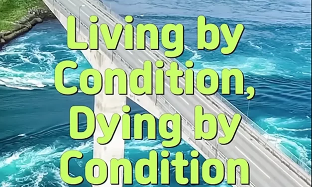 🌊 LIVING BY CONDITION, DYING BY CONDITION: THE LAW OF NATURE AND THE WILL OF GOD | MASTER WOO MYUNG | SANTA CLARA MEDITATION