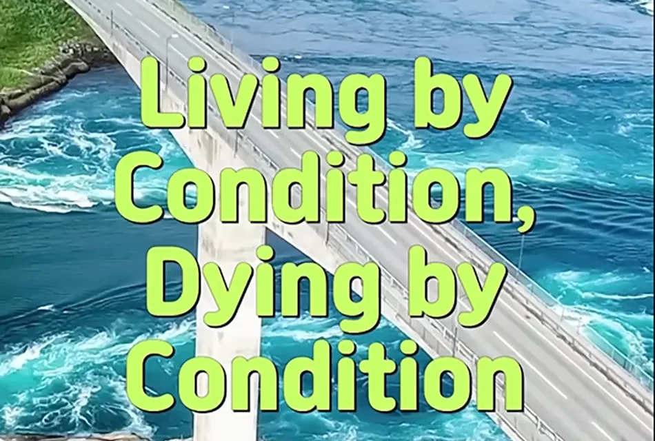🌊 LIVING BY CONDITION, DYING BY CONDITION: THE LAW OF NATURE AND THE WILL OF GOD | MASTER WOO MYUNG | SANTA CLARA MEDITATION