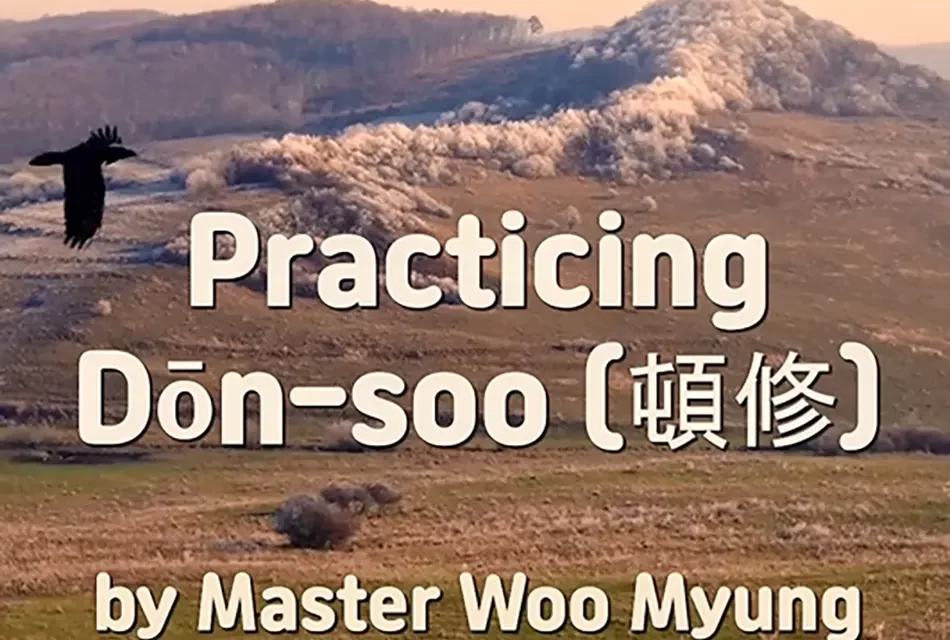 🪷 PRACTICING DŌN-SOO (頓修): MAINTAINING IMMEDIATE ENLIGHTENMENT | MASTER WOO MYUNG | SANTA CLARA MEDITATION