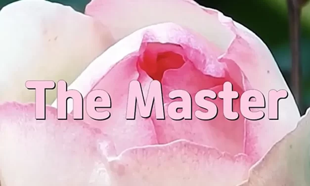 🌟 THE MASTER: THE MIND THAT EMBRACES THE UNIVERSE | MASTER WOO MYUNG | SANTA CLARA MEDITATION
