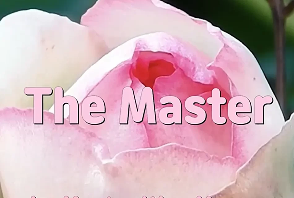 🌟 THE MASTER: THE MIND THAT EMBRACES THE UNIVERSE | MASTER WOO MYUNG | SANTA CLARA MEDITATION