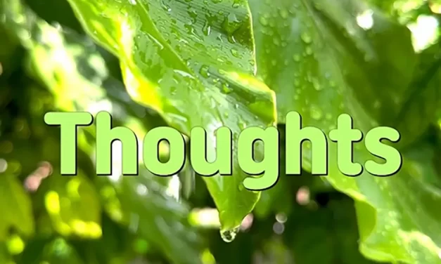 💭 THOUGHTS: THE LIMITS OF HUMAN DESIRES AND FIXED MINDS | MASTER WOO MYUNG | SANTA CLARA MEDITATION