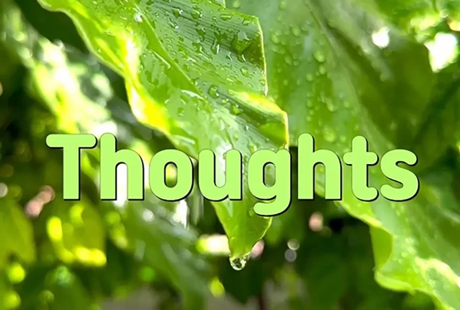 💭 THOUGHTS: THE LIMITS OF HUMAN DESIRES AND FIXED MINDS | MASTER WOO MYUNG | SANTA CLARA MEDITATION