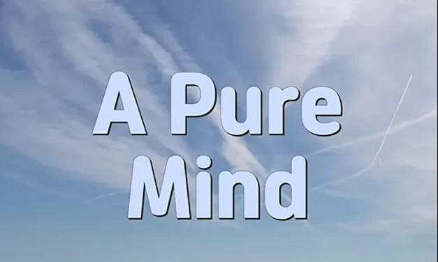 🌿 A PURE MIND: SEEKING AND CLEANSING TO FIND TRUTH | MASTER WOO MYUNG | SANTA CLARA MEDITATION