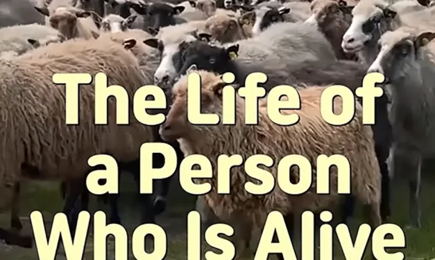 🌞 THE LIFE OF A PERSON WHO IS ALIVE: LIVING AS TRUTH | MASTER WOO MYUNG | SANTA CLARA MEDITATION