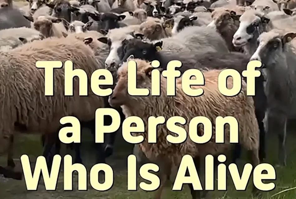 🌞 THE LIFE OF A PERSON WHO IS ALIVE: LIVING AS TRUTH | MASTER WOO MYUNG | SANTA CLARA MEDITATION