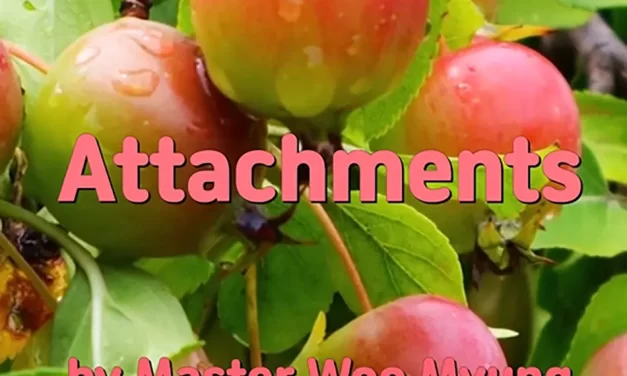 🪢 ATTACHMENTS: THE ROOT OF GREED AND LOSS | MASTER WOO MYUNG | SANTA CLARA MEDITATION