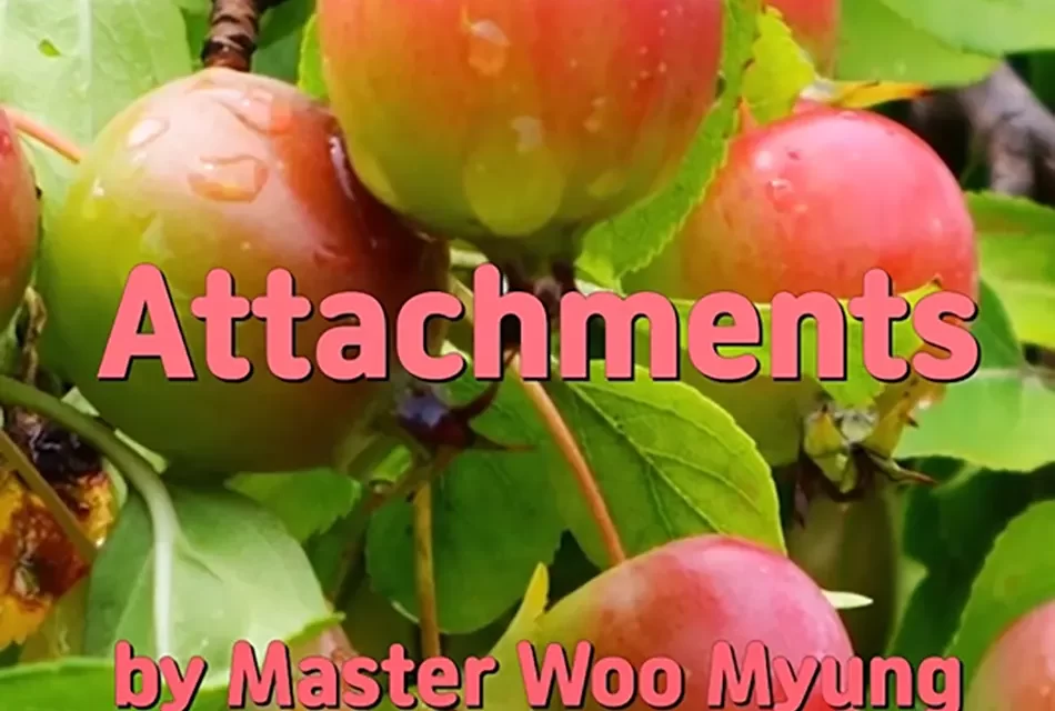 🪢 ATTACHMENTS: THE ROOT OF GREED AND LOSS | MASTER WOO MYUNG | SANTA CLARA MEDITATION