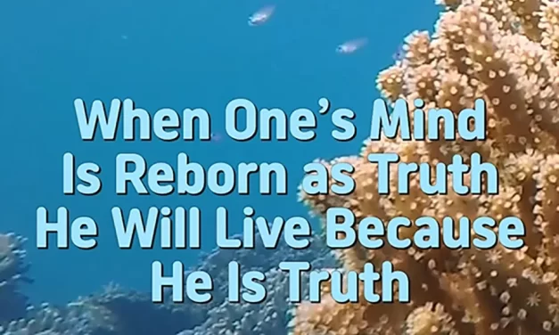 🌅 WHEN ONE’S MIND IS REBORN AS TRUTH, HE WILL LIVE BECAUSE HE IS TRUTH | MASTER WOO MYUNG | SANTA CLARA MEDITATION