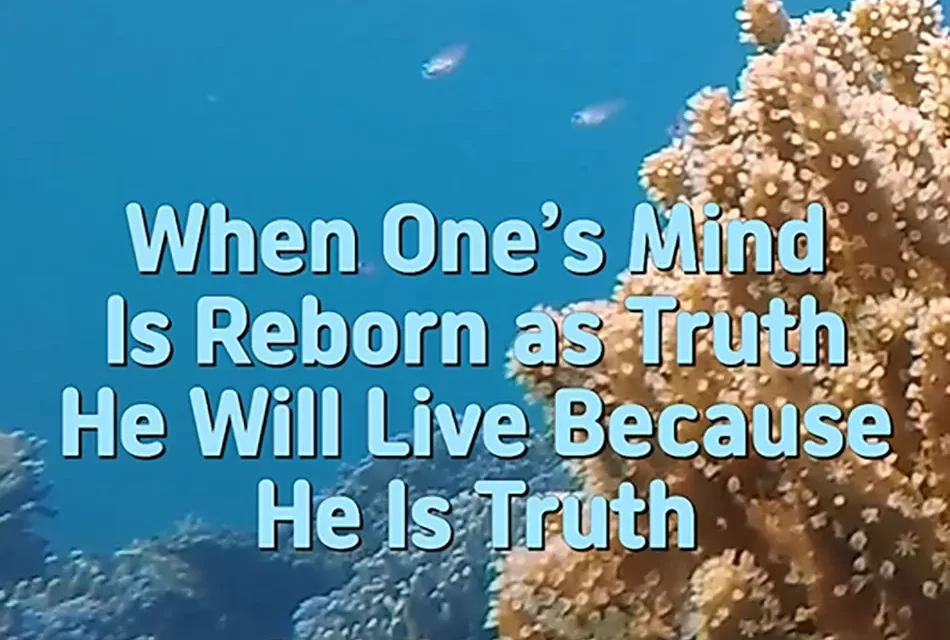 🌅 WHEN ONE’S MIND IS REBORN AS TRUTH, HE WILL LIVE BECAUSE HE IS TRUTH | MASTER WOO MYUNG | SANTA CLARA MEDITATION