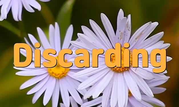 🗑️ DISCARDING: EMPTYING THE MIND AND SHEDDING KARMA | MASTER WOO MYUNG | SANTA CLARA MEDITATION