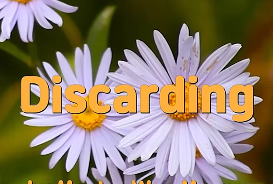 🗑️ DISCARDING: EMPTYING THE MIND AND SHEDDING KARMA | MASTER WOO MYUNG | SANTA CLARA MEDITATION