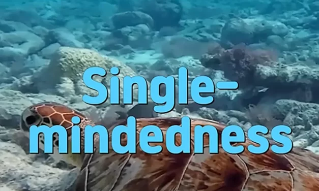 🎯 SINGLE-MINDEDNESS: THE POWER OF TRUE ACTION BEYOND THOUGHTS | MASTER WOO MYUNG | SANTA CLARA MEDITATION