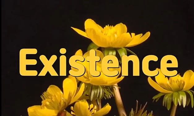 🌌 EXISTENCE: LIFE, DEATH, AND THE ETERNAL WHOLE | MASTER WOO MYUNG | SANTA CLARA MEDITATION