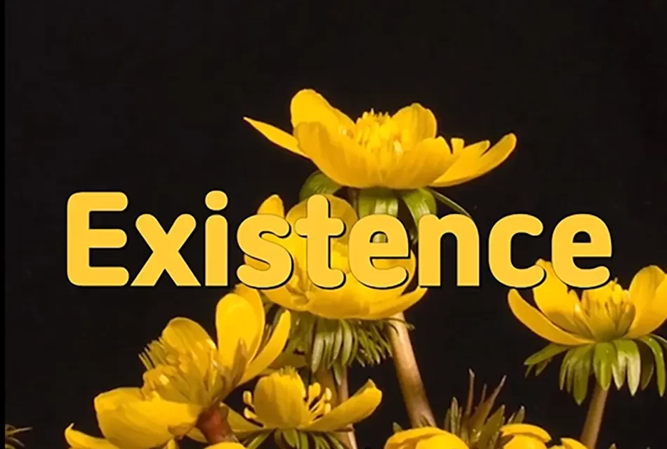 🌌 EXISTENCE: LIFE, DEATH, AND THE ETERNAL WHOLE | MASTER WOO MYUNG | SANTA CLARA MEDITATION