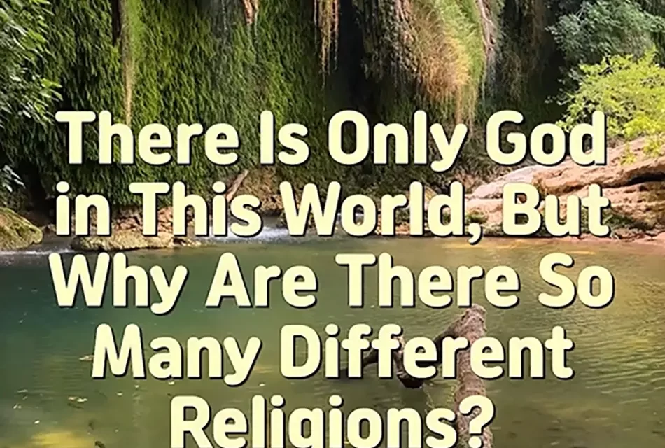 🌍 THERE IS ONLY GOD IN THIS WORLD, BUT WHY ARE THERE SO MANY DIFFERENT RELIGIONS? | MASTER WOO MYUNG | SANTA CLARA MEDITATION