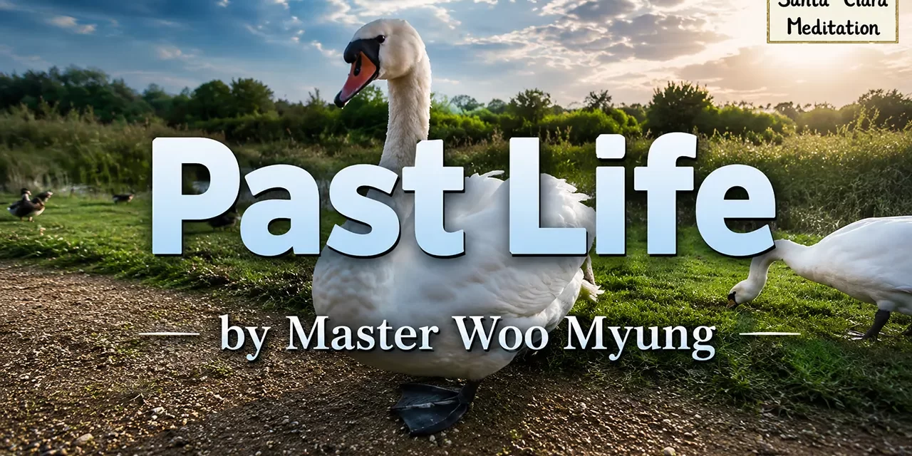 π Past Life: Understanding Karma and the Present Moment | Master Woo Myung | Santa Clara Meditation
